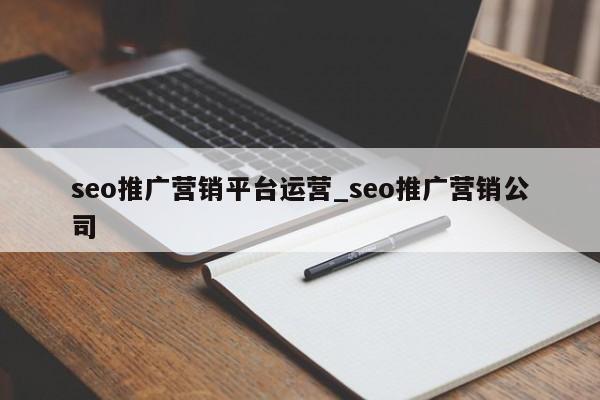 seo推广营销平台运营_seo推广营销公司