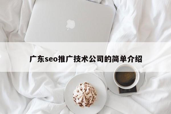 广东seo推广技术公司的简单介绍