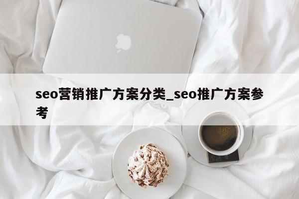 seo营销推广方案分类_seo推广方案参考
