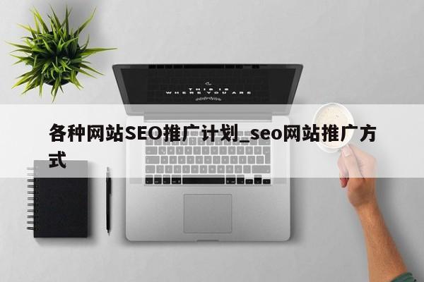 各种网站SEO推广计划_seo网站推广方式