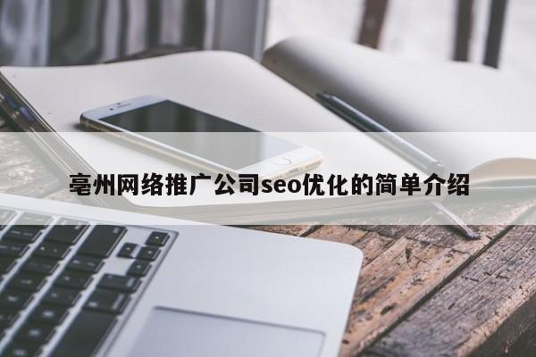 亳州网络推广公司seo优化的简单介绍