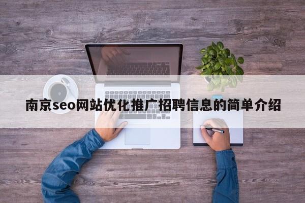 南京seo网站优化推广招聘信息的简单介绍
