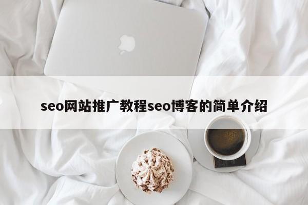 seo网站推广教程seo博客的简单介绍