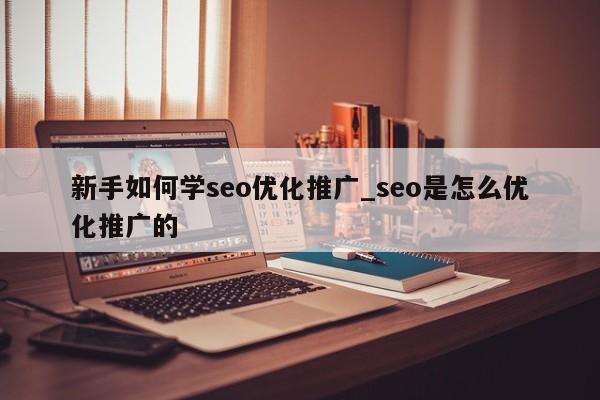 新手如何学seo优化推广_seo是怎么优化推广的