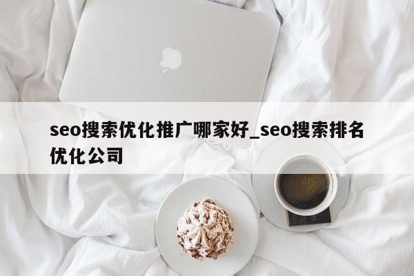 seo搜索优化推广哪家好_seo搜索排名优化公司