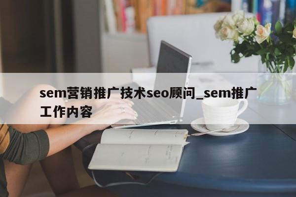 sem营销推广技术seo顾问_sem推广工作内容